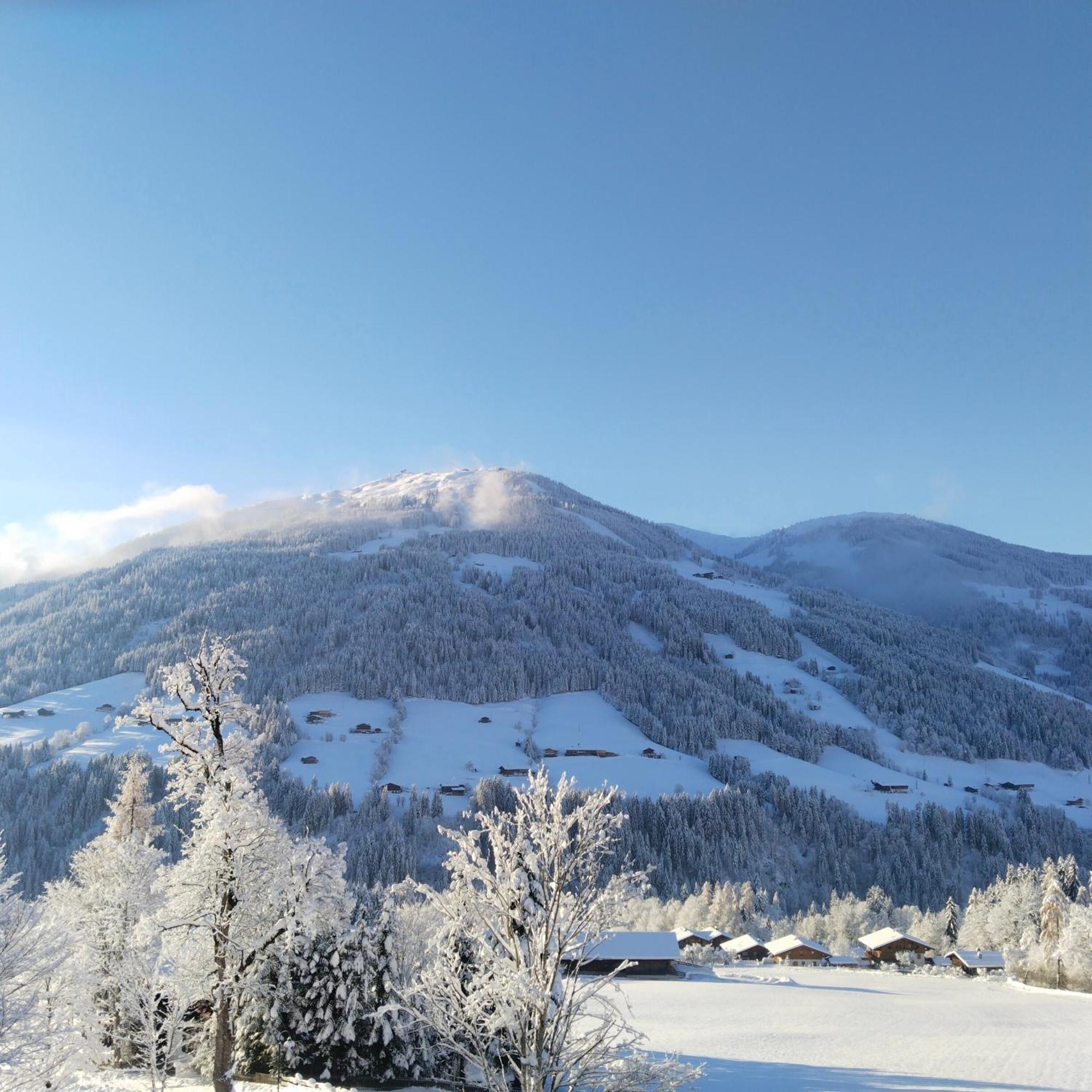 Alpbachblick Lejlighed Eksteriør billede
